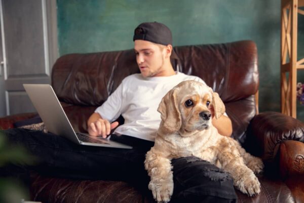 Young man on the couch with dog behind his laptop