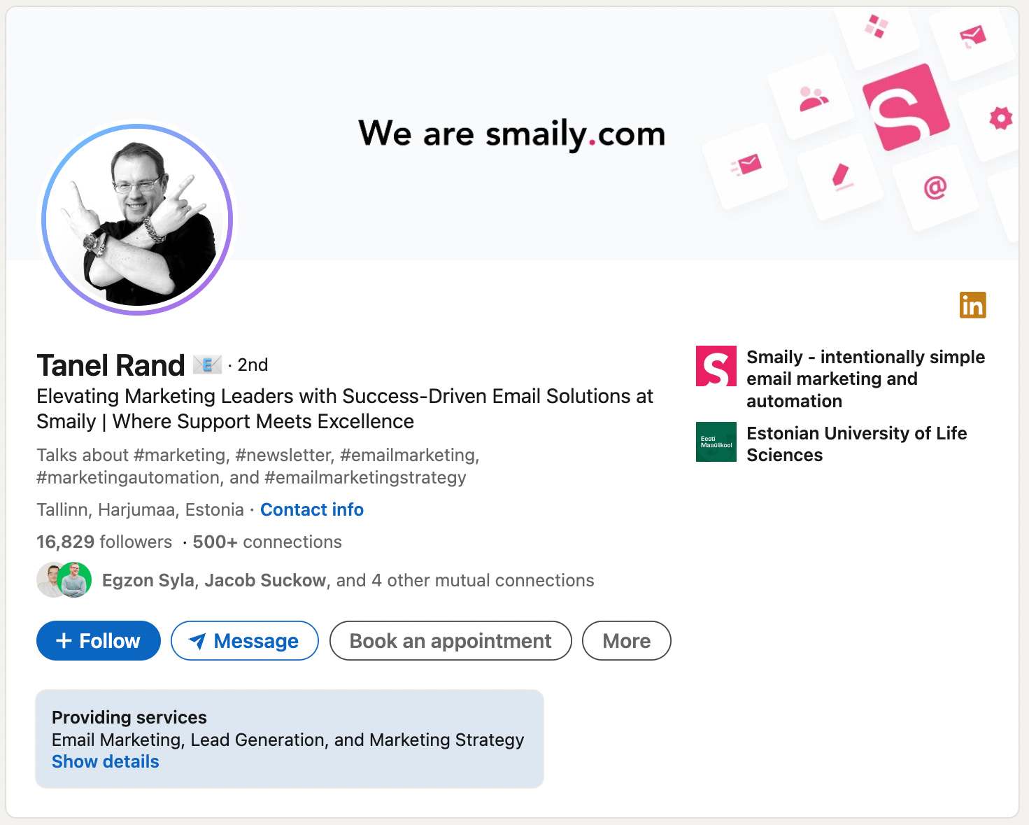 Tanel Rand LinkedIn example