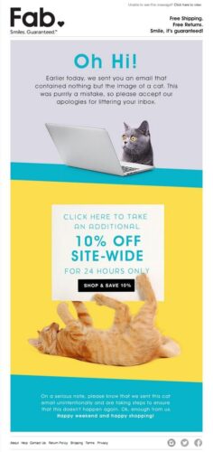 A cute and funny oops email from the brand Fab